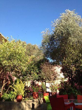 Cafe Restaurant La Noria